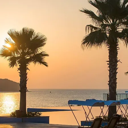 Xanadu Island アキアーラ